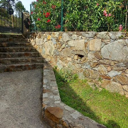 A Guinguetta Bed and Breakfast Venaco  Εξωτερικό φωτογραφία