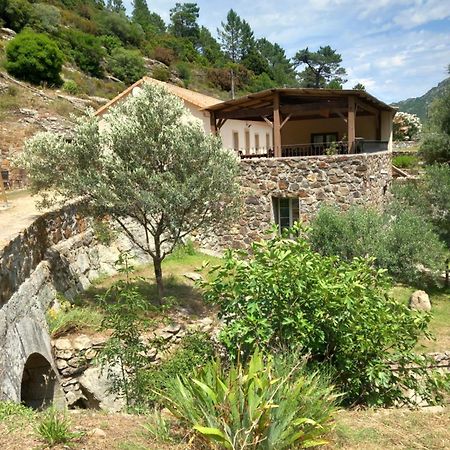 A Guinguetta Bed and Breakfast Venaco  Εξωτερικό φωτογραφία