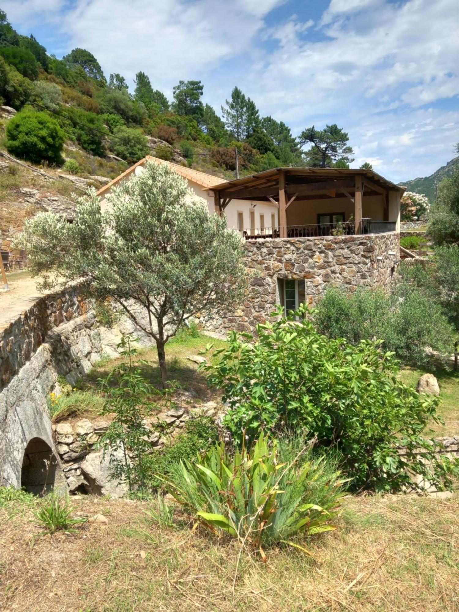 A Guinguetta Bed and Breakfast Venaco  Εξωτερικό φωτογραφία